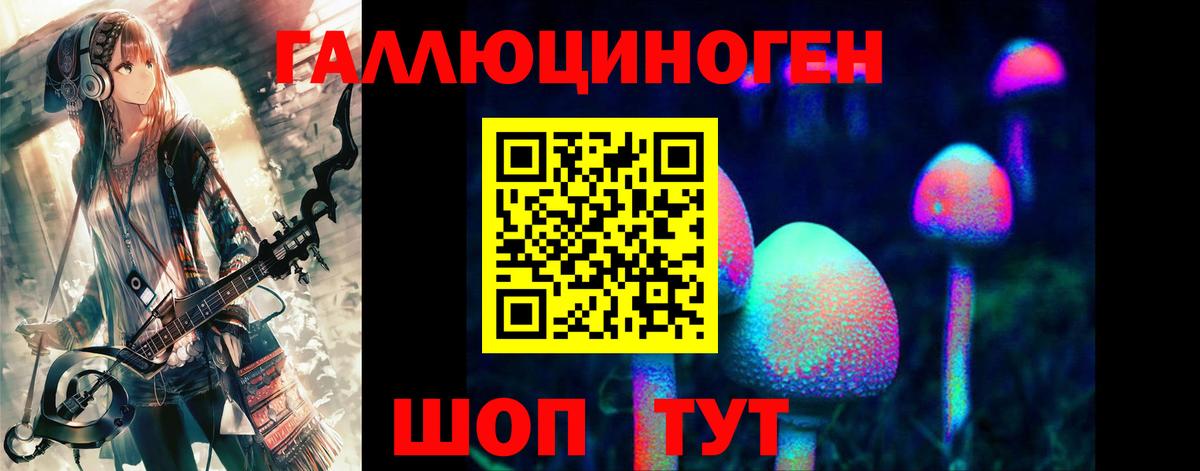 Псилоцибиновые грибы мицелий  Вход с VPN  Кисловодск 